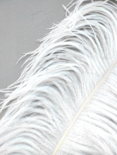 Load image into Gallery viewer, &quot;Palm Feathers&quot; - Exotic Ostrich Feather Floor Lamp
